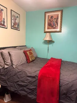 a living room with a couch and a red blanket at Genevieve’s comfort pad in Jersey City