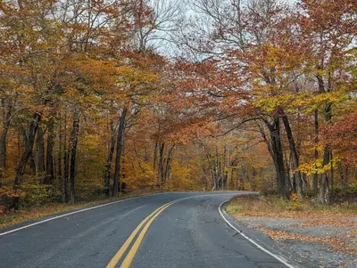 an empty road in the middle of a forest at Modern chalet for 8 people with Fireplace, Hot Tub and nearby Skiing in Tobyhanna