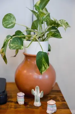 a brown vase with a plant in it on a table at Rainforest Retreat 20m to NYC FREE Parking - Sleeps 16 in Bayonne