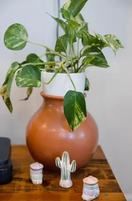 a vase with a plant in it on a table at Rainforest Retreat 20m to NYC Parking Sleeps 25 in Bayonne