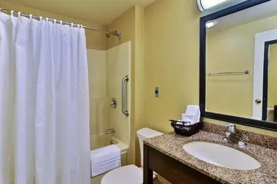 a bathroom with a sink and a toilet and a shower at Pine Barn Inn in Danville