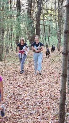 a man and woman walking in the woods with a dog at Pocono Farmhouse - Fully Renovated 1881 Home in Saylorsburg