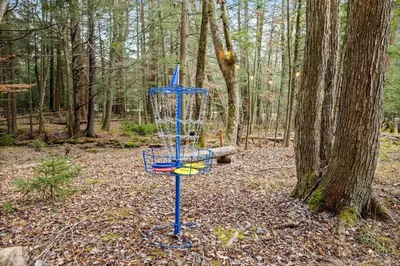 a blue frisbee golf basket in the woods at Creekside Recess Hottub Sauna Firepit Gameroom