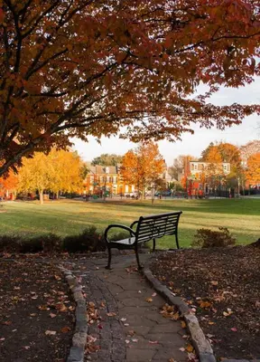 a park bench sitting under a tree in a park at Sweet Lancaster Apt. B in Lancaster