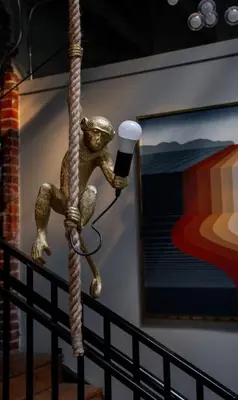 a monkey on a rope attached to a wall at Sweet Lancaster Apt. A in Lancaster