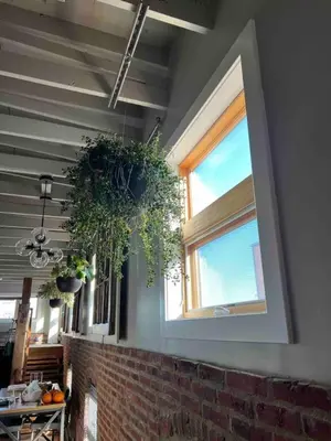 a room with potted plants and a window at Sweet Lancaster Suite in Lancaster