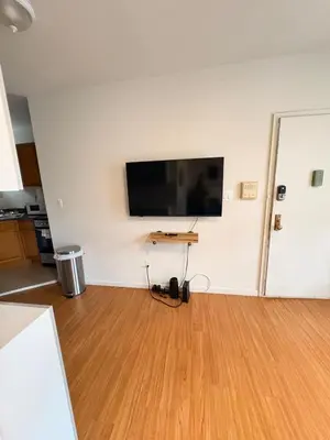 a living room with a flat screen tv on a wall at Renovated 1br in East Village in New York
