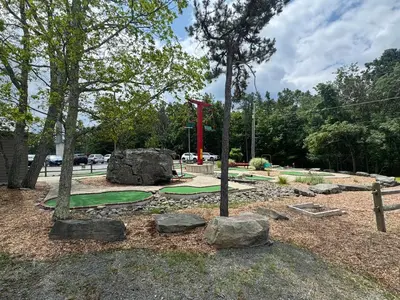 a park with a tree and a golf course at The Flying Dutchman Cottage in amenities filled Masthope community Ski Big Bear in Lackawaxen