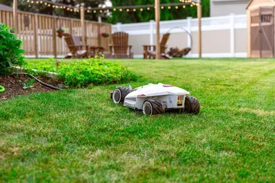 a toy car sitting in the grass in a yard at AmishGuestCottage~cozystudio~hottub~patio in Gordonville