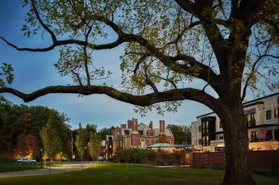 a tree in a park next to some buildings at Pendry Natirar in Peapack
