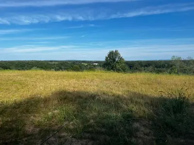 a field of grass with a tree in the distance at New Farmhouse, King Beds, Game Room, Hot Tub & View! in Montgomery