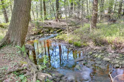 a creek in a wooded area with a tree at Private Hot Tub Poconos Babbling Brooke Cottage in Blakeslee