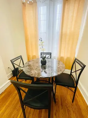 a table with four chairs and a potted plant on it at Spacious 2-Bedroom Near Elkins Park, Monthly Disco in Elkins Park