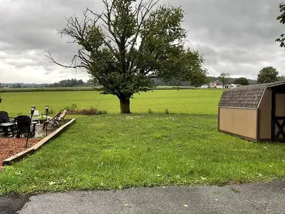 a tree in the middle of a field with a building at Amish Country Stay w/ Buggy Ride in Gap