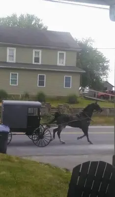a horse pulling a carriage down a street at Amish Country Stay w/ Buggy Ride in Gap