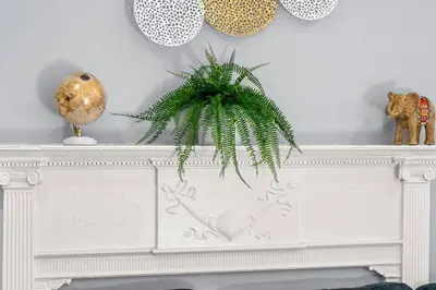a white fireplace with a plant on top of it at Cozy Apt in Center City! in Philadelphia