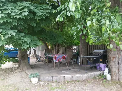 a patio with a table and chairs under a tree at Bryn Mawr Guest Suites in Bryn Mawr