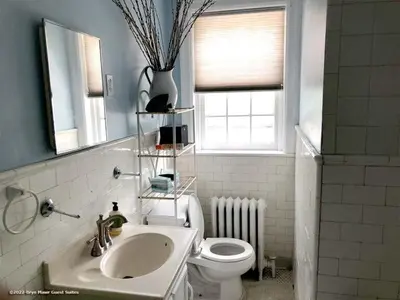 a bathroom with a sink and a toilet and a window at Bryn Mawr Guest Suites in Bryn Mawr