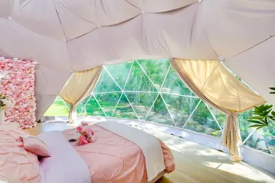 a bedroom with a bed and a large window at Unique Escapes - Rosé All Day Geodome in Monticello