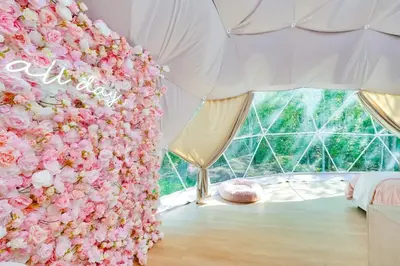 a room with a wall covered in pink flowers at Unique Escapes - Rosé All Day Geodome in Monticello