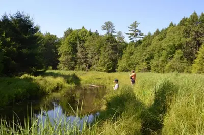 a man and a child standing in a field near a river at Little Birds Treehouse in Sparrow Bush