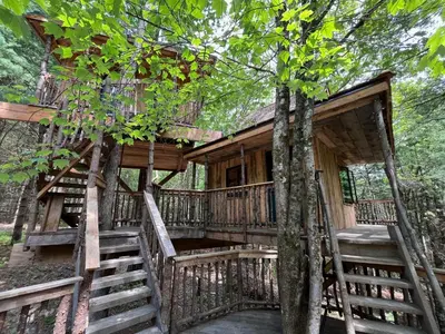 a tree house in the woods with stairs at Little Birds Treehouse in Sparrow Bush