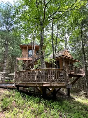 a tree house in the middle of a forest at Little Birds Treehouse in Sparrow Bush
