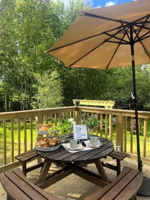 a picnic table with an umbrella on a deck at Unique Escapes - Nature Lovers Geodome in Monticello