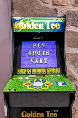 a golden t geo game on a golden tiger game machine at Modern Lodge on 6 acres - 15 mins to Camelback in Cresco