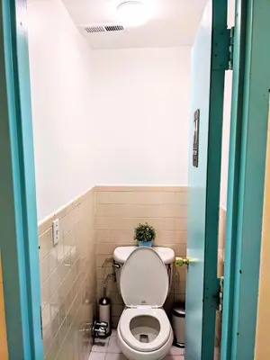 a bathroom with a toilet with a plant on it at Shered bathroom 4 SofaBed + loftbed + kitchen in New York