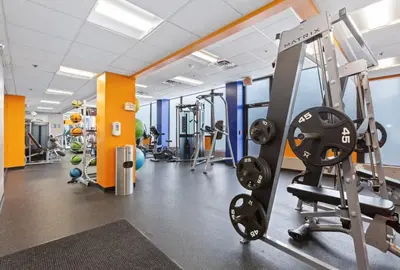 a gym with treadmills and weights at PP 1801 Modern Corporate 2br, pool, Gym in Harrisburg
