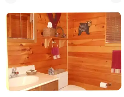 a bathroom with a toilet and a sink at Harmony in the Woods in Lake Harmony