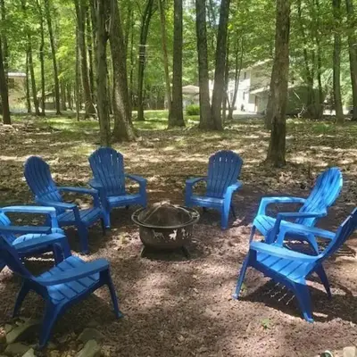 Harmony in the Woods