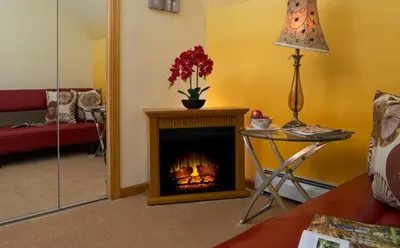 a living room with a fire in a fireplace at Cherry Valley Manor in Stroudsburg