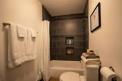 a bathroom with a shower and a toilet and a tub at Park Place- cozy modern space fully updated fast WiFi good coffee and easy parking in Wilmington
