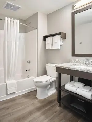 a bathroom with a toilet and a shower and a sink at stayAPT Suites Harrisburg-Hershey in Harrisburg