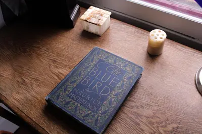 a book sitting on top of a wooden table at The Borland House Inn in Montgomery