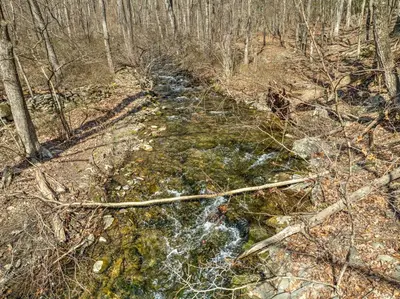 a creek in the middle of a forest at 30 Day Minimum Stay - Private Creekside Solace in East Stroudsburg