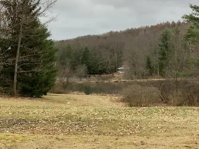 a field with a lake and trees and a house at Mighty Oak near Sayre Towanda in Ulster