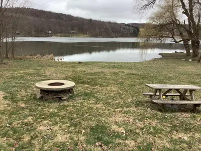 two picnic tables sitting in the grass near a lake at Lakeside Tiny Cozy Retreat in Ulster