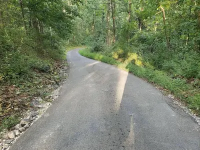 a winding road in the middle of a forest at Large Private House on 5 Wooded Acres. Total Privacy! in Hackettstown