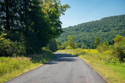 a dirt road with trees on the side of a mountain at Chambers Hollow in Walton