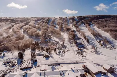 an aerial view of a ski resort in the snow at Casa di Montagna/5BR/3Bath/NearResorts/PetsAllowed in Pocono Lake