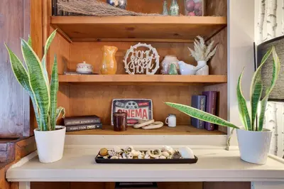 a shelf with two potted plants on a table at 2BR Cottage with Hot Tub in Tobyhanna