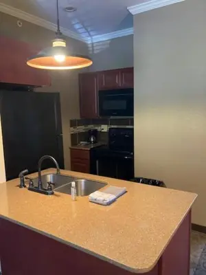 a kitchen with a sink and a counter top at Williamsport Grandview Hotel in Linden