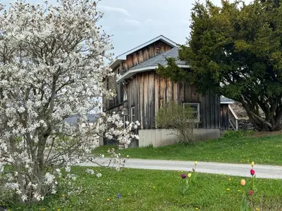 a wooden house with a flowering tree in front of it at Idea Farm in Callicoon Center