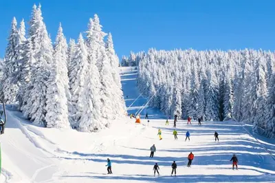 a group of people skiing down a snow covered slope at 10 guest Ski Chalet Pools Golf Ski Hike in Vernon Township