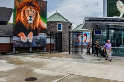 a mural of a lion on the side of a building at Hollywood in East Orange