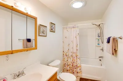 a bathroom with a sink and a toilet and a shower at Amish Country Townhome Near Hiking and Fly Fishing! in Loganton