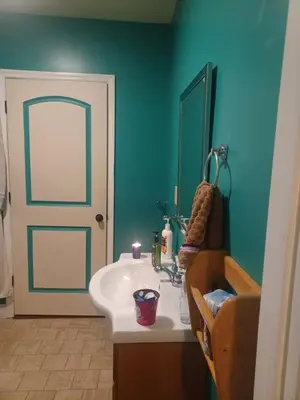 a bathroom with a white sink and a door at Harvey's Lake/near Rickett's Glen in Harveys Lake